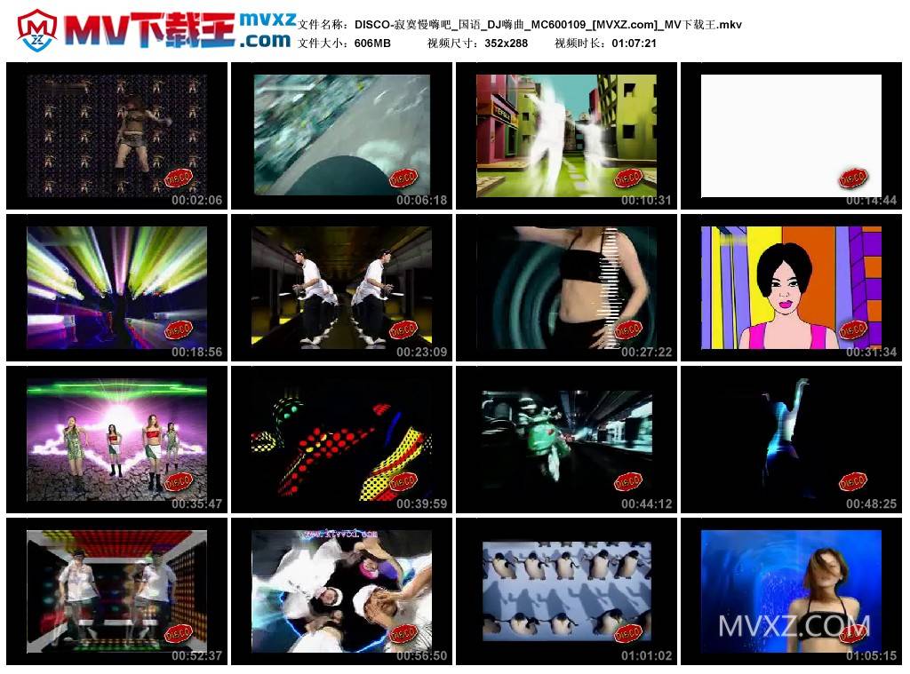 DISCO-寂寞慢嗨吧_国语_DJ嗨曲_MC600109